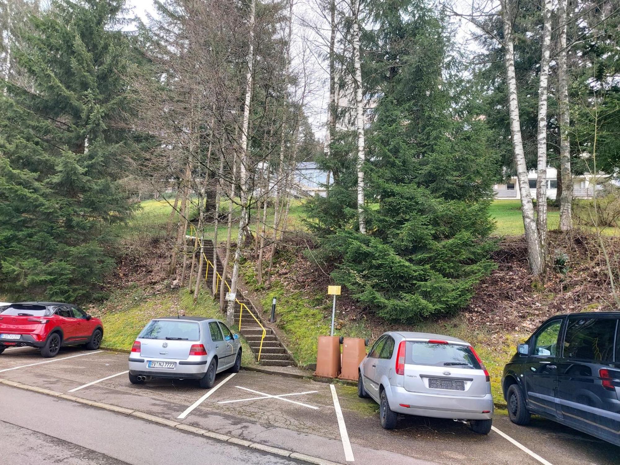 Fewo Mit Pool In Baiersbronn Exterior foto